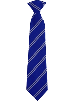Wallington Primary Academy Tie Clip On